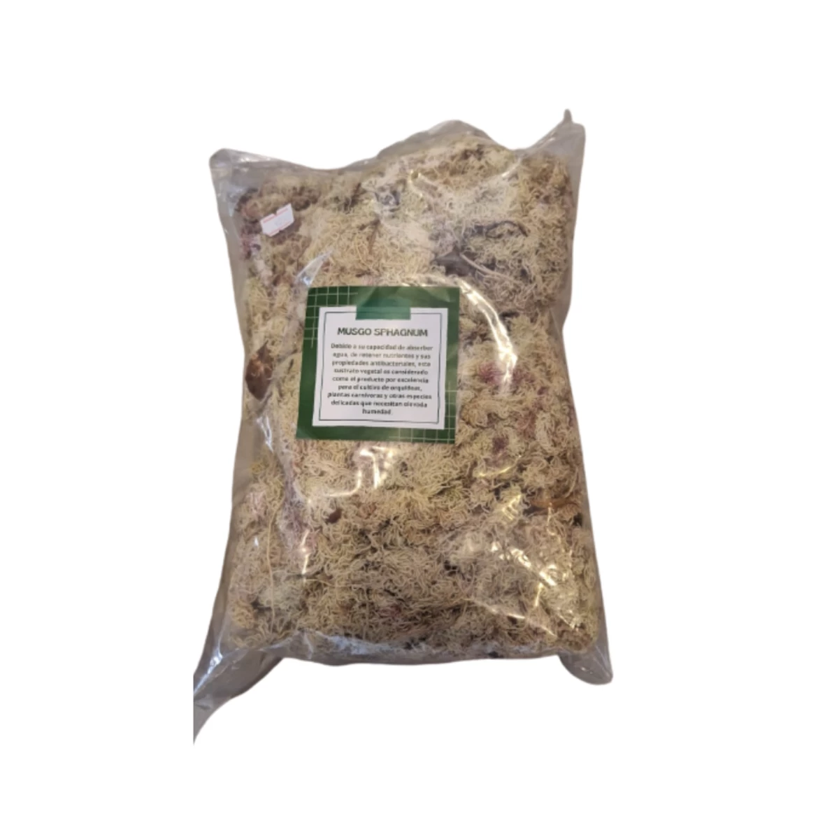 musgo-sphagnum