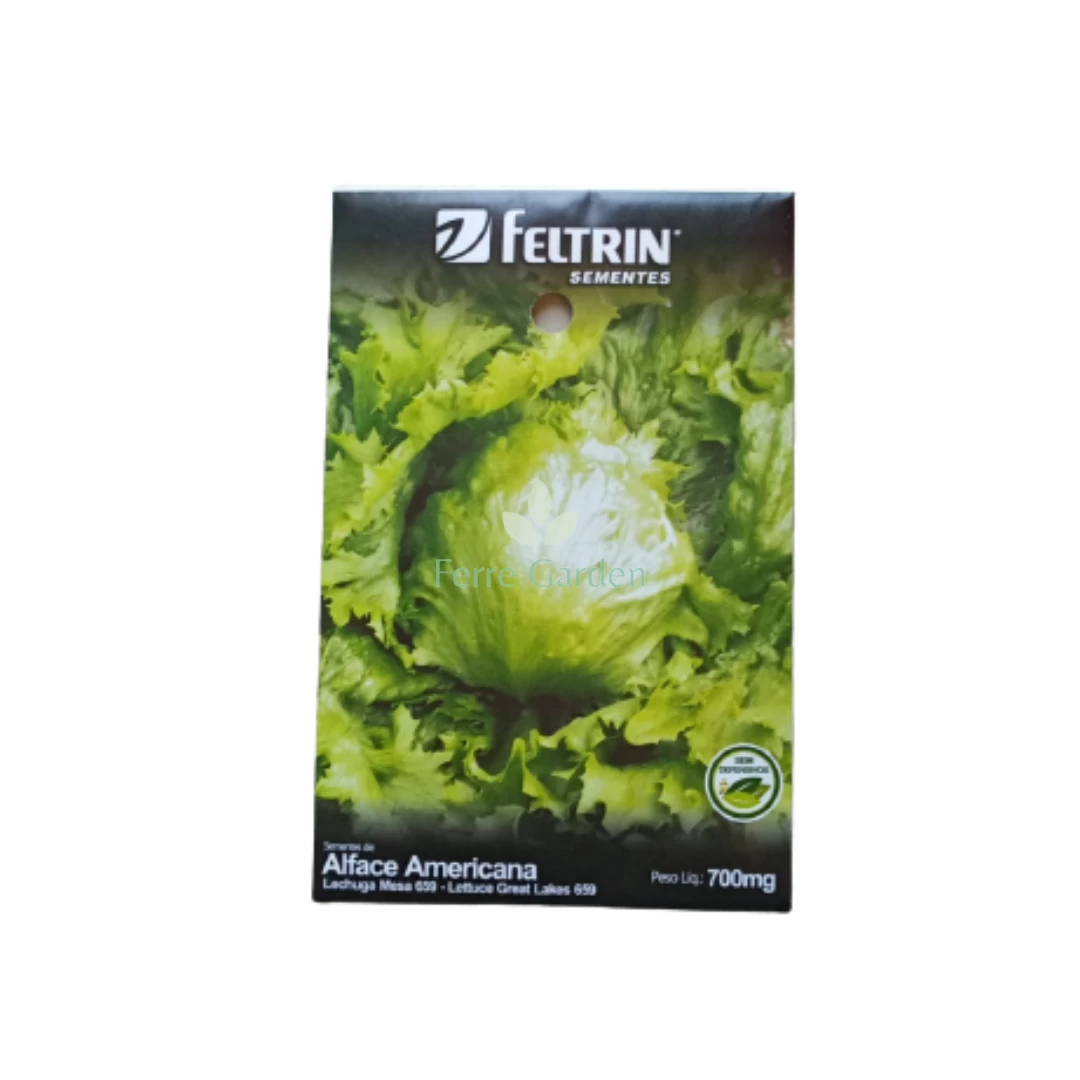 semilla-lechuga-mesa-repollada-feltrin-700mg