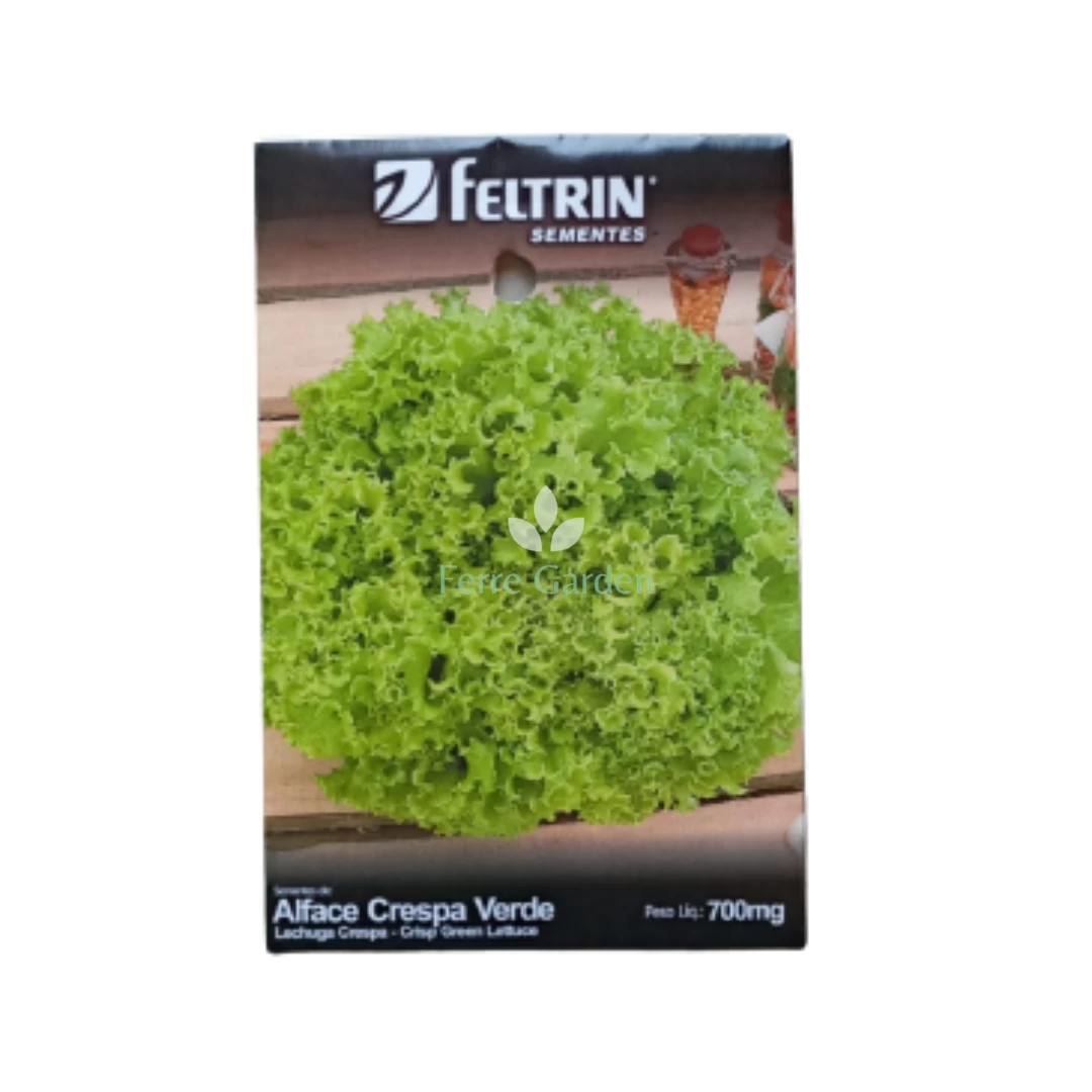 semilla-lechuga-crespa-feltrin-700mg