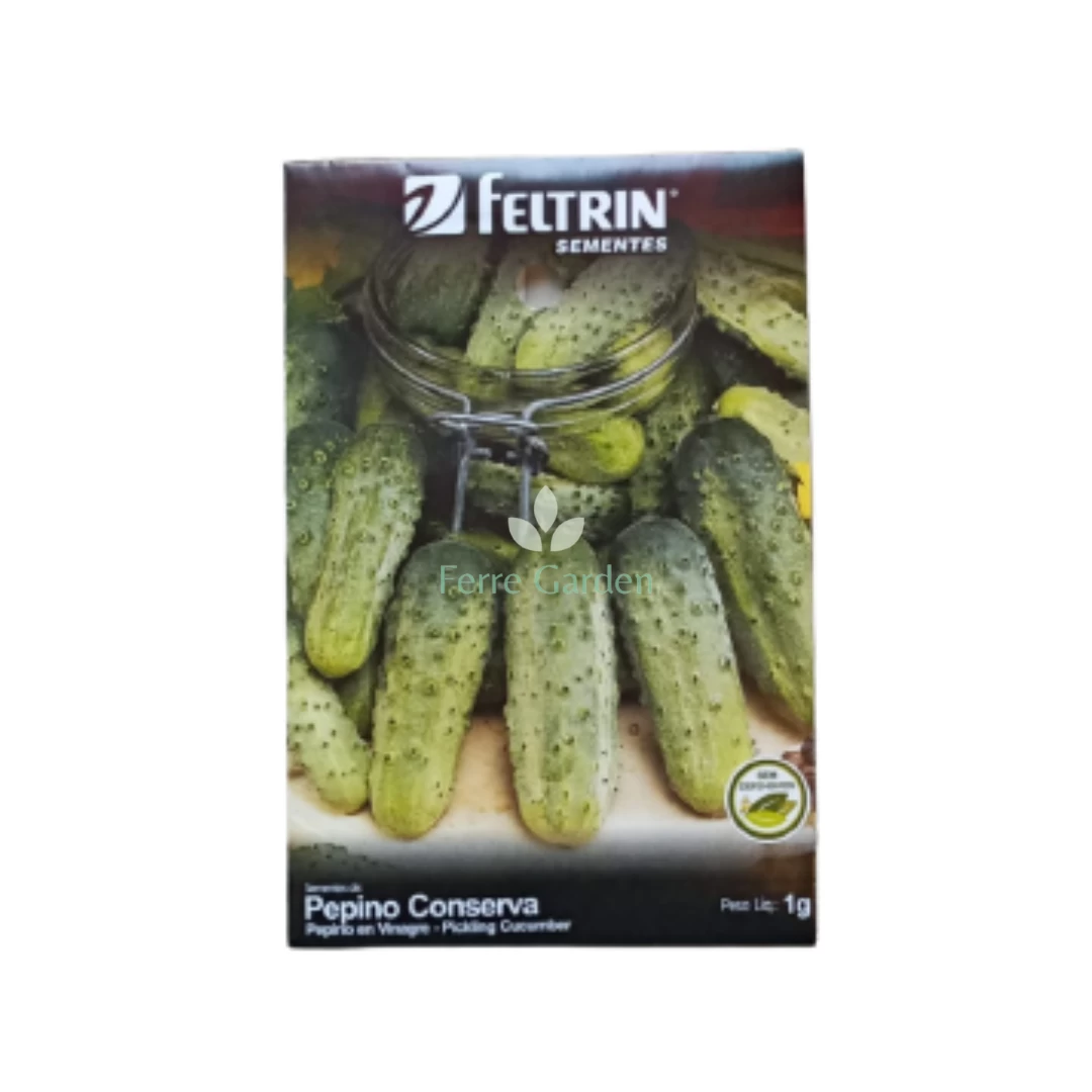 semilla-pepino-en-vinagre-feltrin-1g