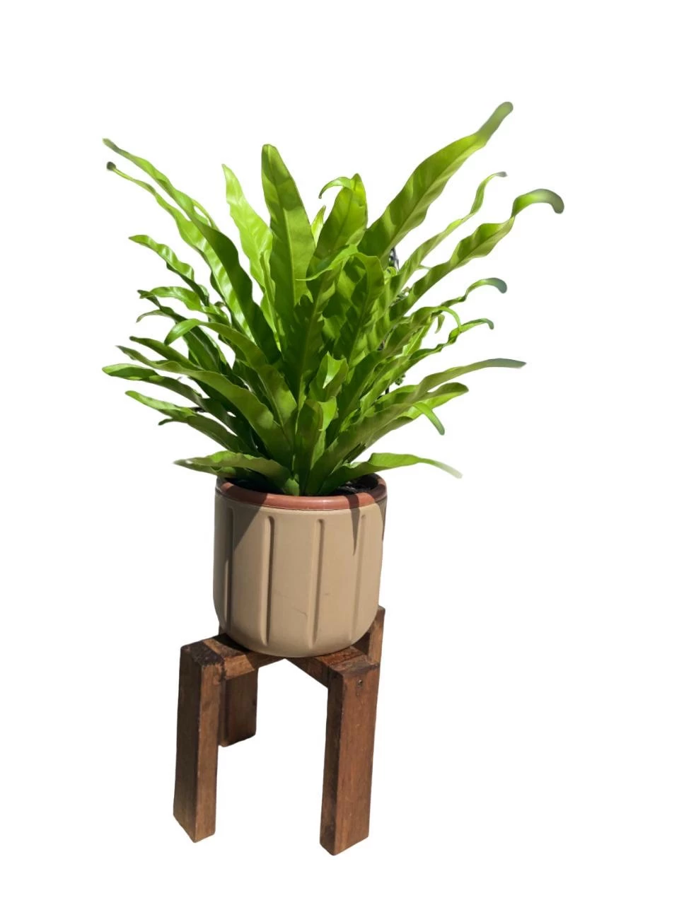 base-para-maceta-de-18cm