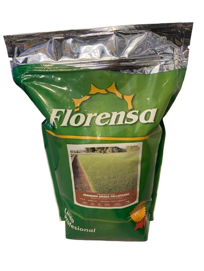 semilla-de-pasto-bermuda-grass